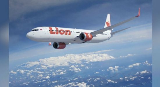 Lion Air flight lands with 2 dead onboard