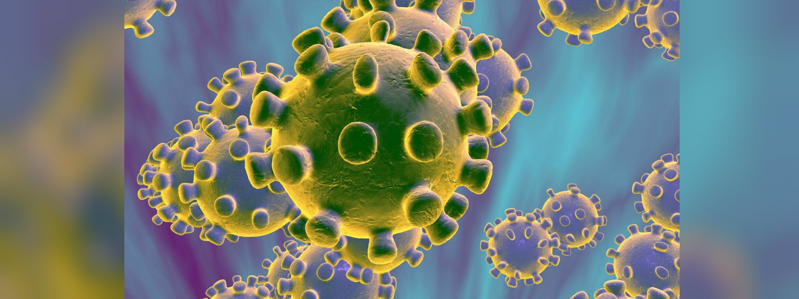 17 suspected coronavirus patients in 4 hospitals