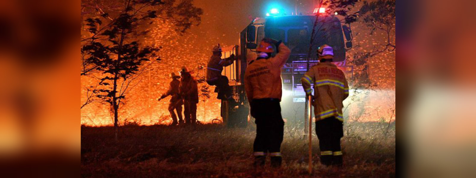 NSW state of Emergency over bushfires