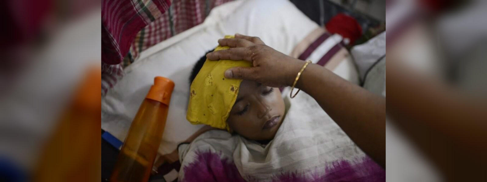 Paraguay declares health emergency over dengue 
