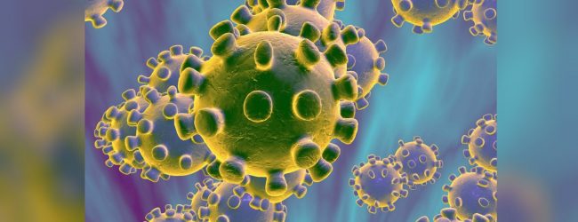 Officials urge public to remain calm following identification of 1st Coronavirus patient in Sri Lanka