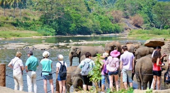 Anomalies in tax concessions affect tourism
