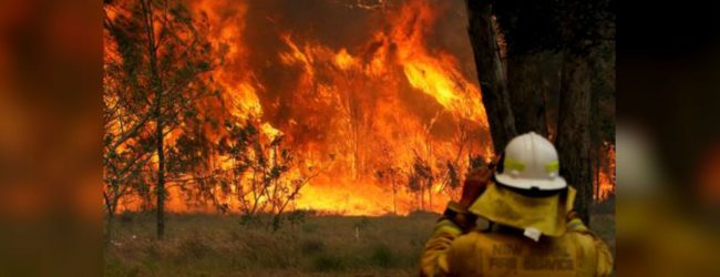 Thousands evacuate New South Wales south coast ahead of bushfire threat