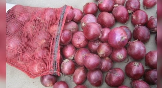 Maximum retail price of Rs.190 on big onions 