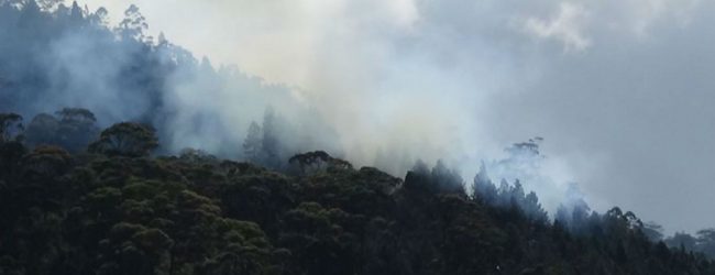 Fire breaks out at Singamale Mountain reserve