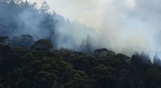 Fire breaks out at Singamale Mountain reserve