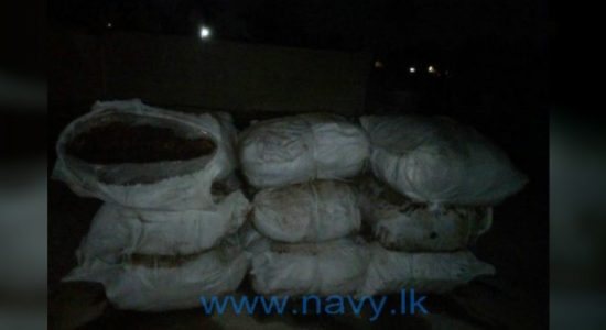 Navy recovers 700kg of wet beedi leaves