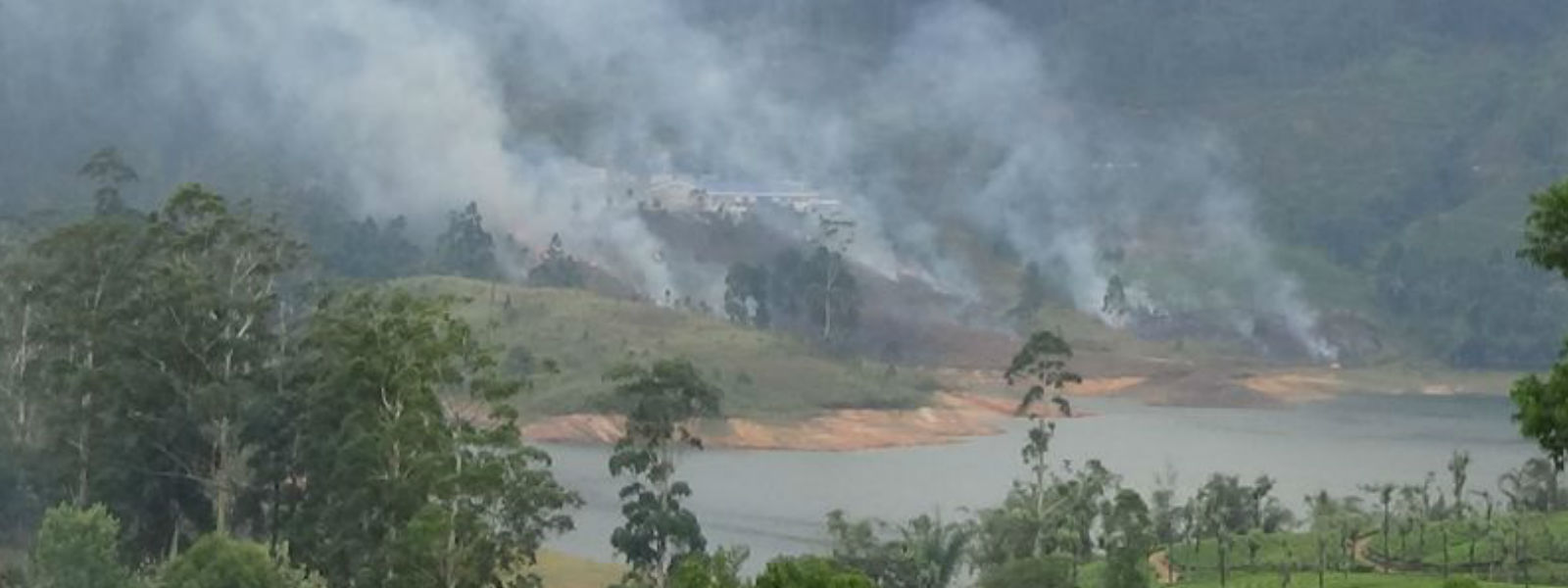Fire destroys 10 acres of Castlereigh reserve