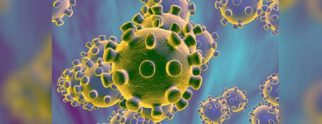 17 suspected Coronavirus patients still in hospitals