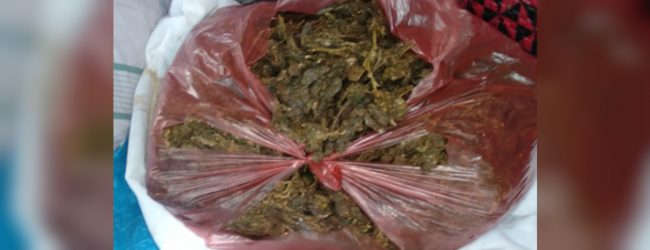 Suspect arrested with over 205kg of Kerala Ganja in Mannar