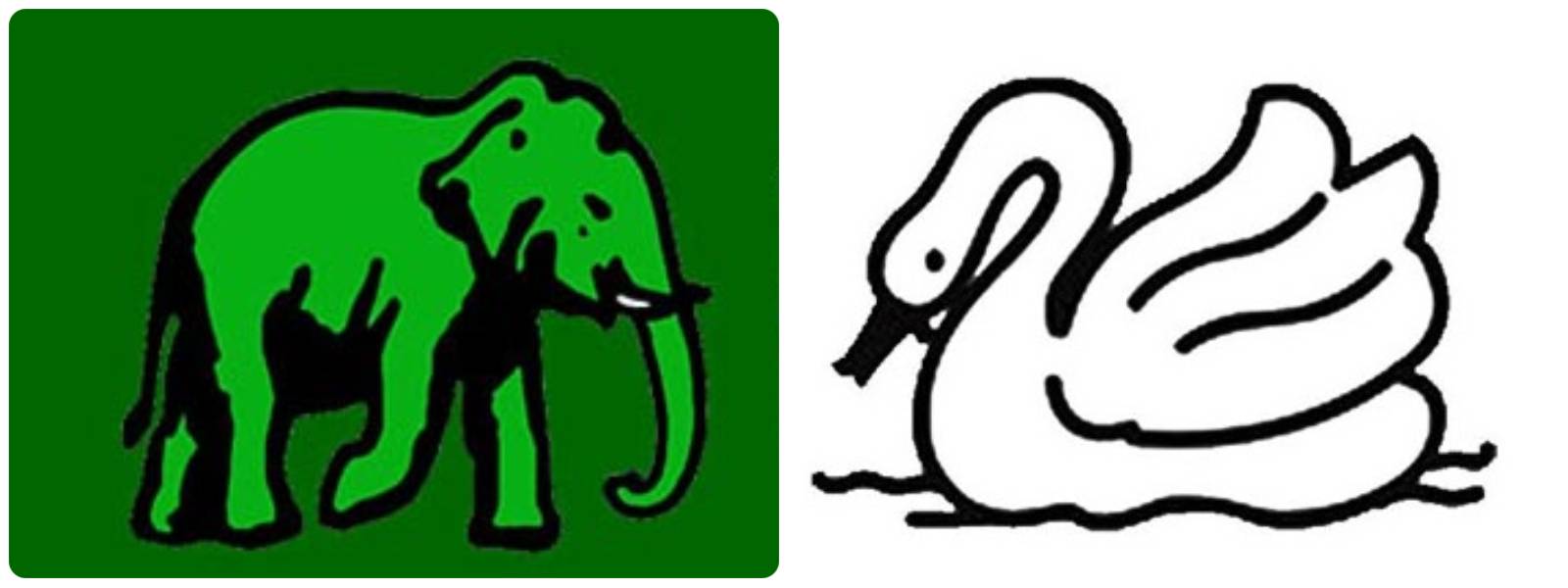 The Elephant or the Swan, what will the UNP working committee pick?