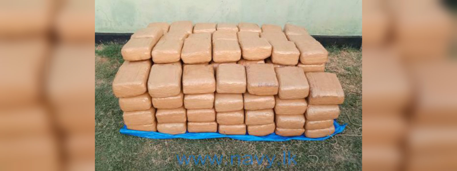 Navy recovers 300kg of Kerala cannabis from Jaffna