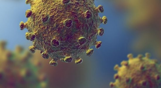 28 COVID-19 cases in Sri Lanka