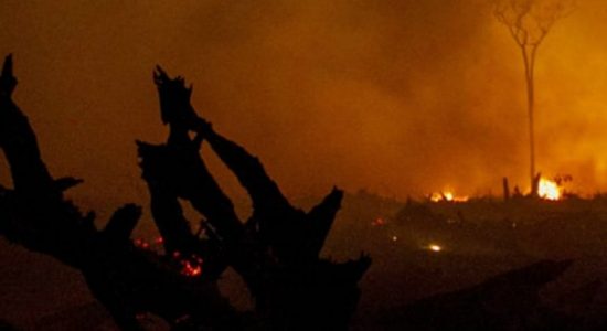 8 suspects arrested for fire in Hagala forest