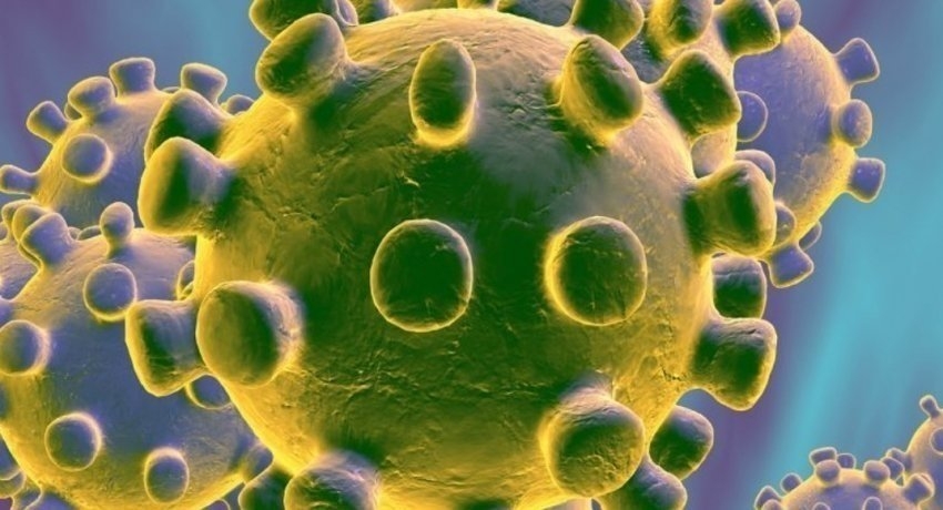 Seven more patients test positive for COVID 19