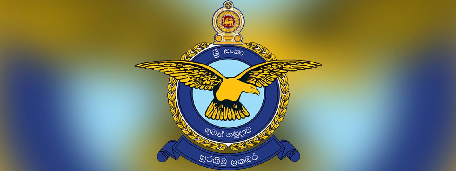 Sri Lanka Air Force makes request from public in Colombo