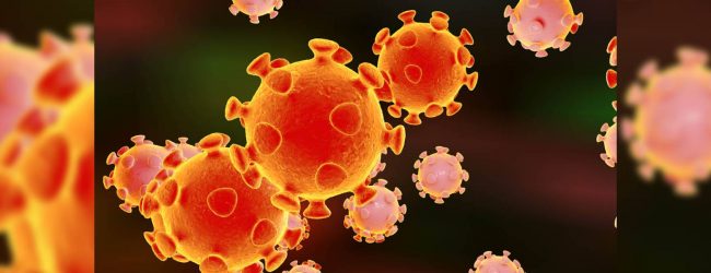 Sri Lanka's COVID-19 infections rises to 335