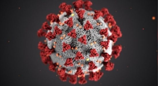 COVID-19 cases in Sri Lanka increases to 567