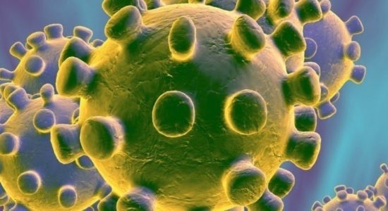 UPDATE : COVID-19 cases in SL climbs upto 151