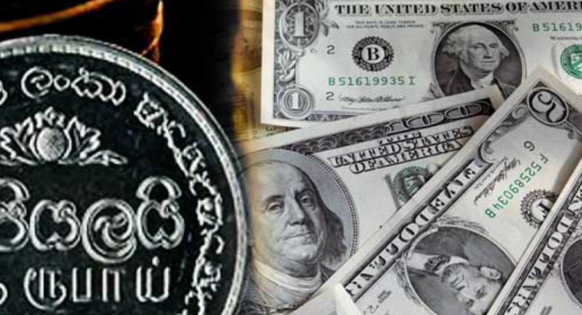 Rupee plummets against the US dollar