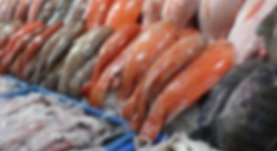 Peliyagoda Fish Market Closed