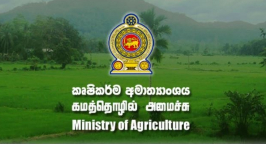 Government to Restrict Importation of some Agricultural Crops