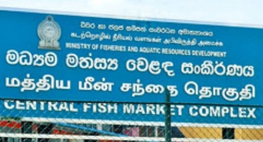 Peliyagoda Fish Market to resume operations tomorrow