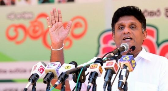 Sajith urges govt. to suspend dairy heifer imports