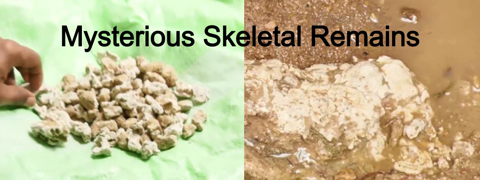 Mysterious skeletal remains from Kurunegala sent for tests