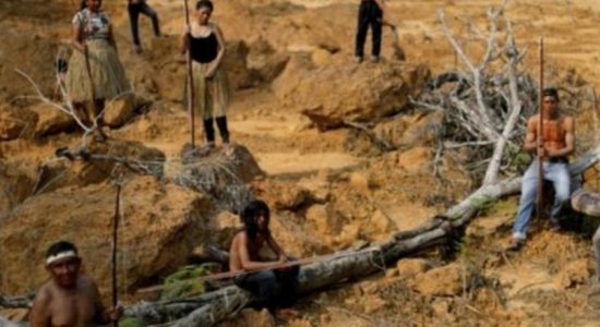 Surge in deforestation in Brazil