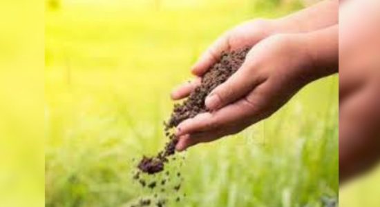 Farmers inconvenienced, shortage of fertilizer