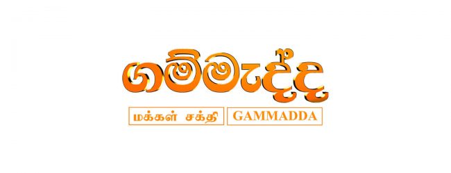Villagers in Kandakkuliya thank Gammadda