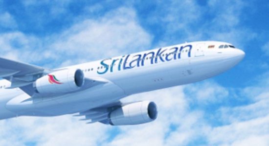 254 Sri Lankans repatriated from India and the UK