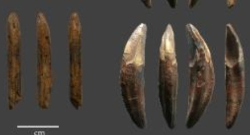 Ground-breaking study finds Sri Lanka has earliest evidence of Bow & Arrow technology outside of Africa to date