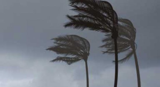 Weather advisory for strong winds 