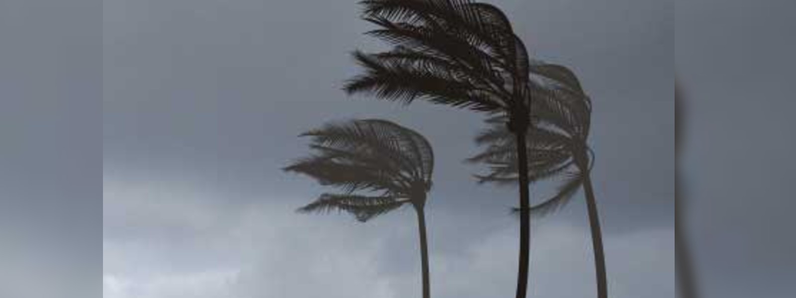 Strong winds damage 82 houses in Attanagalle