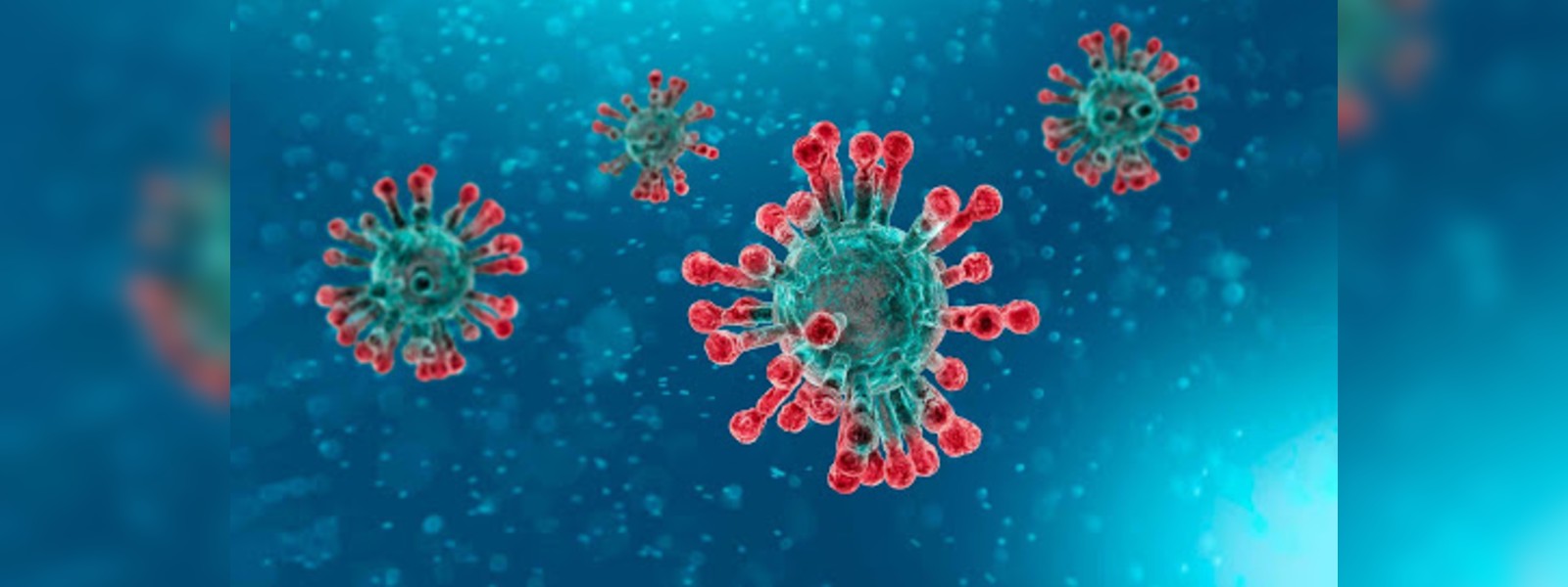 Coronavirus patient from Jinthupitiya tests negative