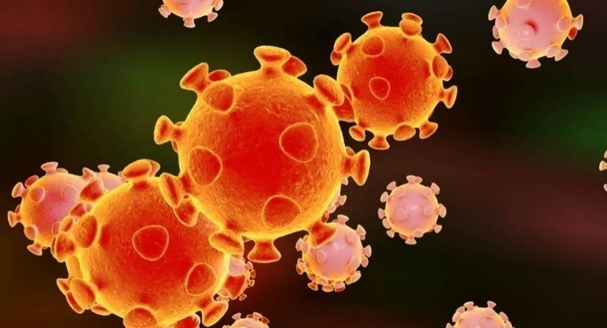 COVID-19 cases in Minuwangoda cluster tops 1500