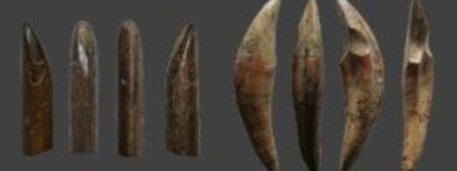Early humans in SL used tools to hunt
