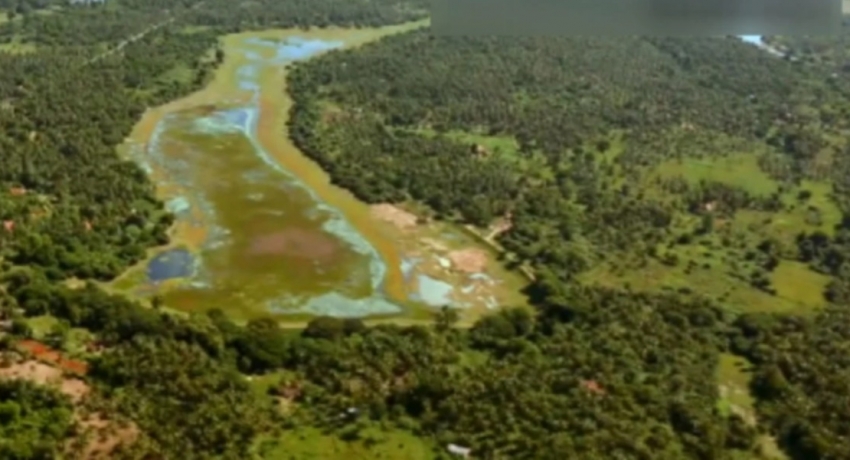 Facts presented to court over destruction of Anawilundawa Wetland Sanctuary