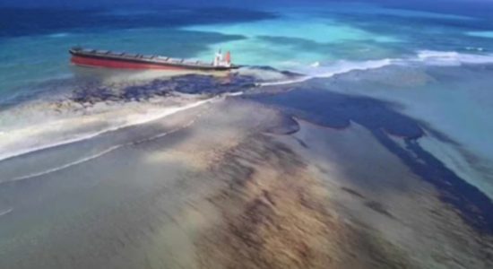 Mauritius oil spill: SL Captain among arrested