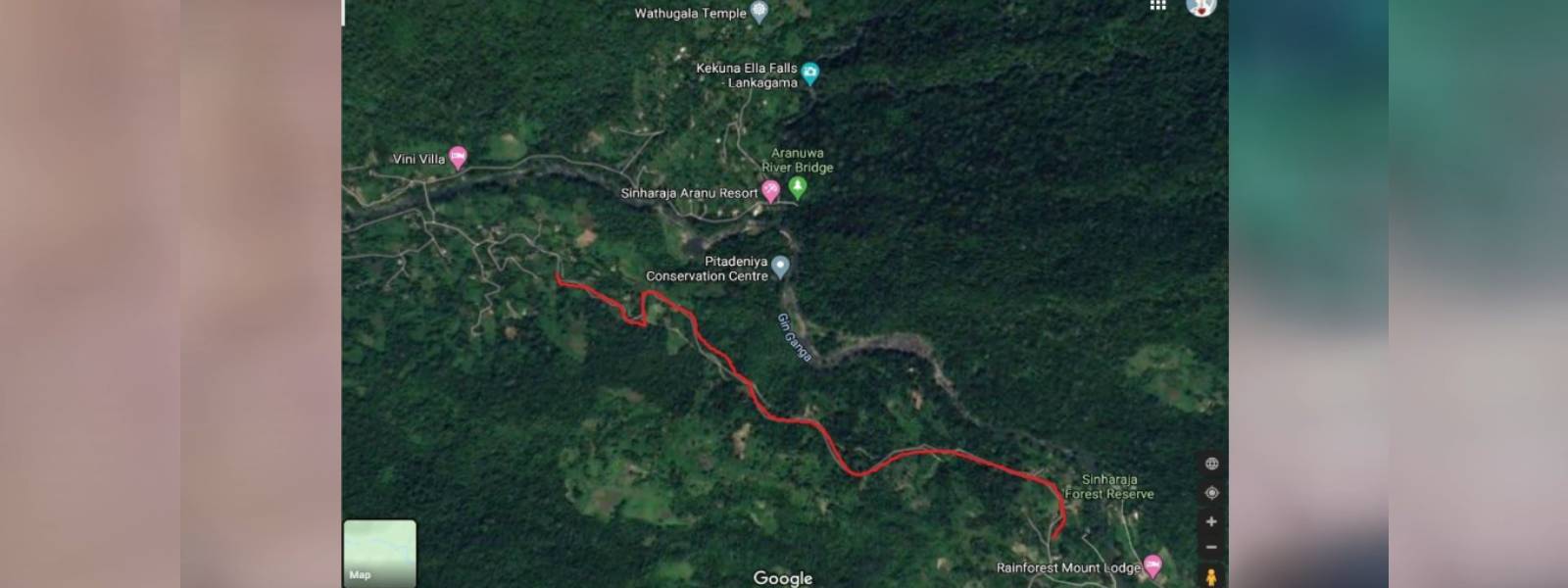 Illegal road project in Sinharaja raises concerns