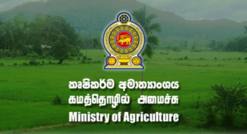 Income from exportation of agricultural produce increase: Dept. of Export Agriculture