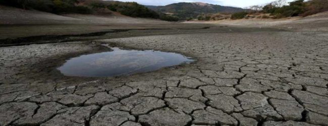 More than 232,000 people affected due to dry weather conditions: DMC