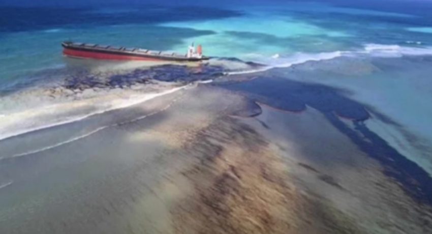 Sri Lankan among 19 arrested by Mauritius Police Force over MV Wakashio oil spill