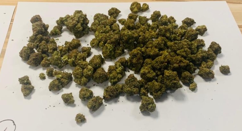 Kush Cannabis worth Rs. 2.2 Mn seized in Katunayake
