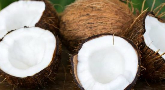 Price of a Coconut hits Rs. 100/- mark