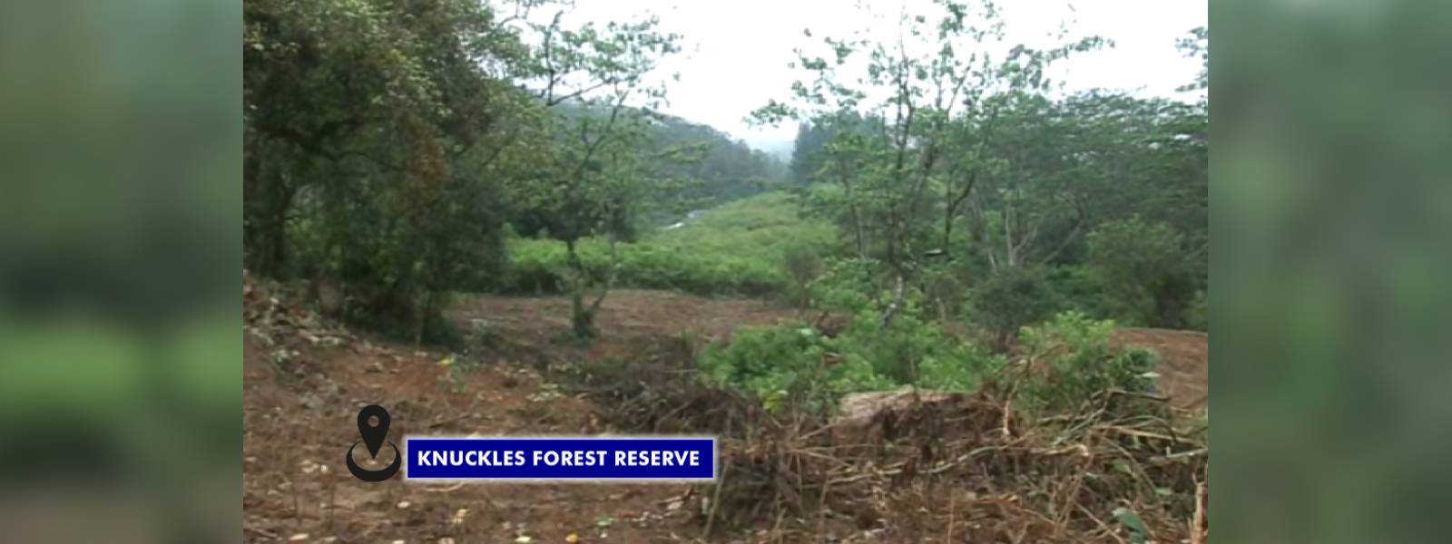 Land area in Knuckles forest reserve cleared 
