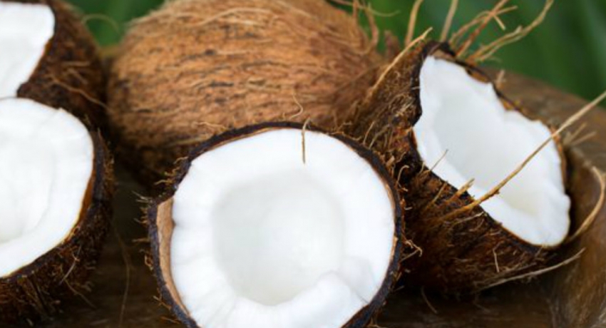 Legal action against traders who sell coconuts at high rates : CAA