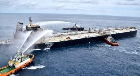 Marine life affected due to oil leak from New Diamond tanker